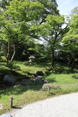 Shugakuin İmparatorluk Villasında taze yeşil, Kyoto, Japonya