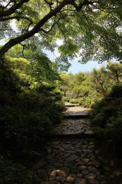 Taze yeşil ve Okochi-sanso Bahçesinde bir patika, Kyoto, Japonya