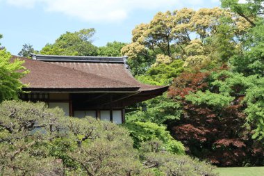 Okochi-sanso Bahçesinde taze yeşil, Kyoto, Japonya