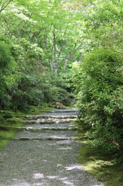 Taze yeşil ve Okochi-sanso Bahçesinde bir patika, Kyoto, Japonya