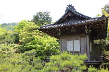 Okochi-sanso Bahçesinde taze yeşil, Kyoto, Japonya