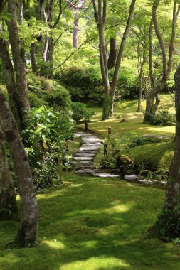 Okochi-sanso Bahçesinde taze yeşil, Kyoto, Japonya