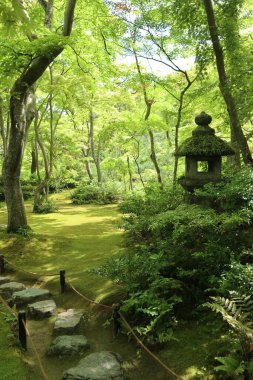 Okochi-sanso Bahçesinde taze yeşil, Kyoto, Japonya