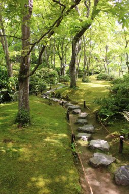 Okochi-sanso Bahçesinde taze yeşil, Kyoto, Japonya
