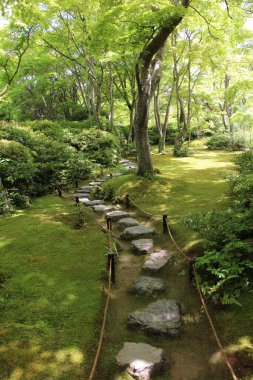 Okochi-sanso Bahçesinde taze yeşil, Kyoto, Japonya