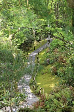 Taze yeşil ve Okochi-sanso Bahçesinde bir patika, Kyoto, Japonya