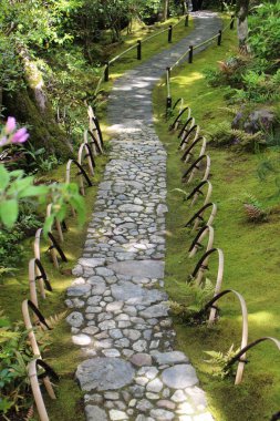 Taze yeşil ve Okochi-sanso Bahçesinde bir patika, Kyoto, Japonya