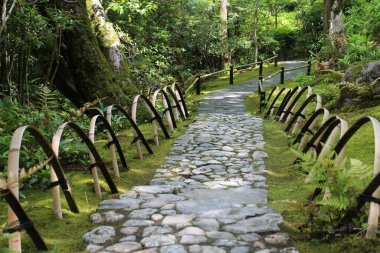 Taze yeşil ve Okochi-sanso Bahçesinde bir patika, Kyoto, Japonya