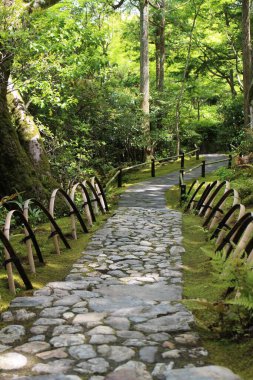 Taze yeşil ve Okochi-sanso Bahçesinde bir patika, Kyoto, Japonya