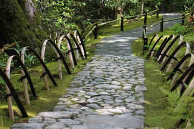 Taze yeşil ve Okochi-sanso Bahçesinde bir patika, Kyoto, Japonya