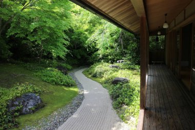 Okochi-sanso Japon Bahçesinde taze yeşil, Kyoto, Japonya