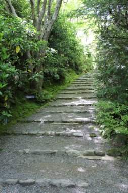 Fresh green and a path in Okochi-sanso Garden, Kyoto, Japan clipart