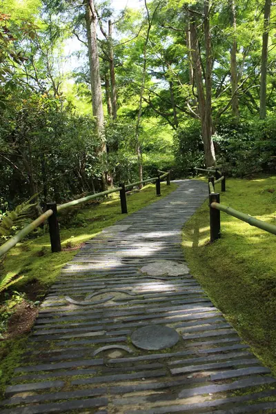 Taze yeşil ve Okochi-sanso Bahçesinde bir patika, Kyoto, Japonya