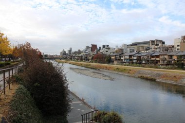 Japonya 'nın Kyoto kentindeki Kamogawa Nehri boyunca sonbahar manzarası