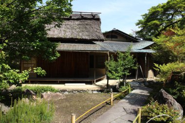 Hogon-in Tapınağında taze yeşil, Kyoto, Japonya