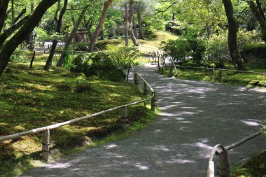 Hogon-in Tapınağında taze yeşil, Kyoto, Japonya