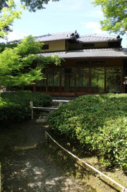Japonya, Kyoto 'daki Hogon Tapınağı' nda taze yeşil ve Shoin evi.