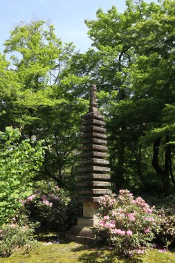 Hogon-in Tapınağında taze yeşil, Kyoto, Japonya