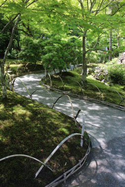 Hogon-in Tapınağında taze yeşil, Kyoto, Japonya