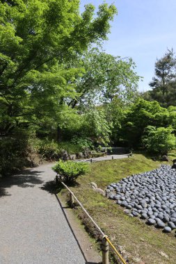 Hogon-in Tapınağında taze yeşil, Kyoto, Japonya