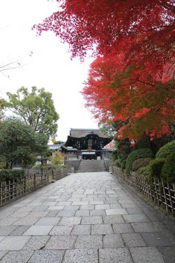 Otani-Hombyo, Kyoto, Japonya 'daki ana kapı ve sonbahar yaprakları