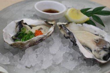 Japon mutfağı: Miyajima, Hiroşima, Japonya 'da çiğ istiridye