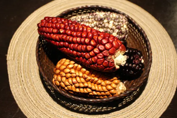 stock image Colorful Peruvian corn in a basket