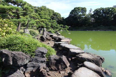 Iso-watari (basamak) ve Dai-Sensui Göleti Kiyosumi Bahçesi, Tokyo, Japonya