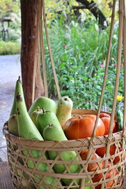 Vegetable basket (melons and pumpkins) in Mukojima-Hyakkaen Garden, Tokyo, Japan clipart