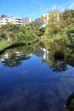 Pond in Mukojima-Hyakkaen Garden, Tokyo, Japan clipart