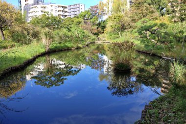 Mukojima-Hyakkaen Bahçesinde Gölet, Tokyo, Japonya