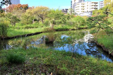 Mukojima-Hyakkaen Bahçesinde Gölet, Tokyo, Japonya