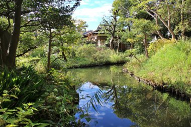 Mukojima-Hyakkaen Bahçesinde Gölet, Tokyo, Japonya