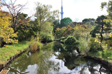 Tokyo Skytree over the pond in Mukojima-Hyakkaen Garden, Tokyo, Japan clipart