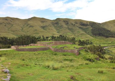 Sacsayhuaman Harabeleri: Cusco, Peru