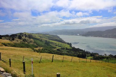 Dunedin, Yeni Zelanda 'daki Otago Yarımadası