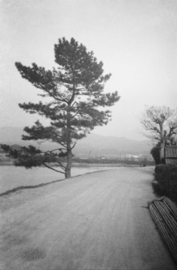 Uji Nehri 'nin Kyoto, Japonya' daki klasik fotoğrafı - 1935-1944