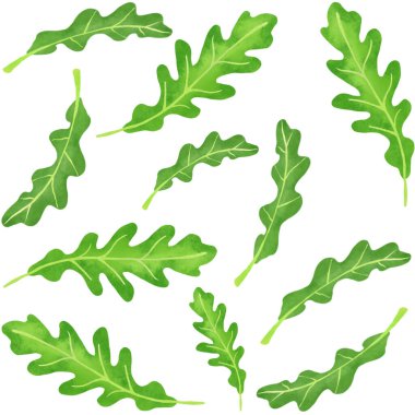 Lezzetli roka salatası menüsü parlak illüstrasyon