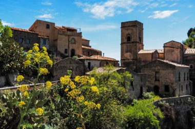 Arka planda bulanık bir tepenin üzerine tünemiş antik bir Sicilya köyünün panoraması. Ön planda parlak sarı çiçekler