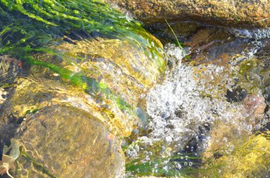 Nehir suyu taşların arasından denize akıyor güzel renklerle, su köpüğüyle ve biraz da nehir bitkisiyle..