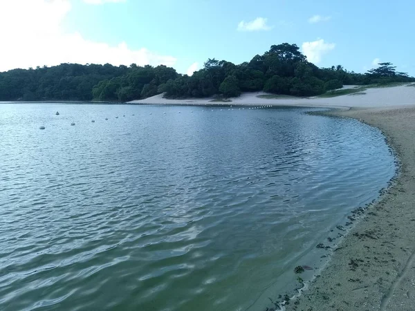 Hermoso Paisaje Bahia Laguna Abaete Itapoa — Foto de Stock