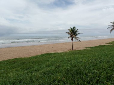 Praia 'daki muhteşem manzara Flamengo Plajı Bahia Brezilya