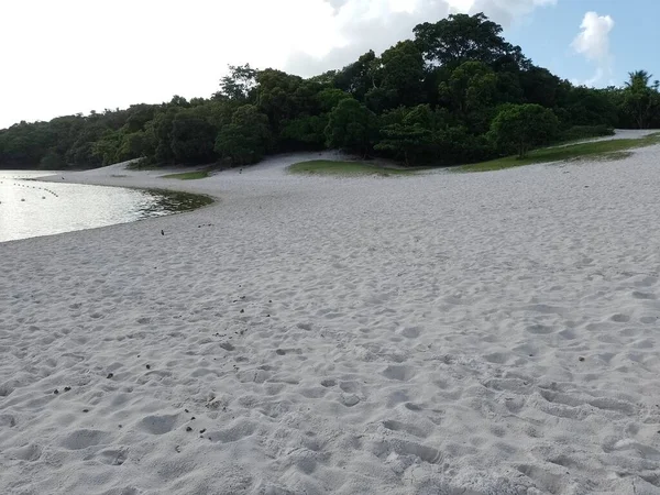 Wunderschöne Landschaft Der Bahia Abaete Lagune Itapoa — Stockfoto