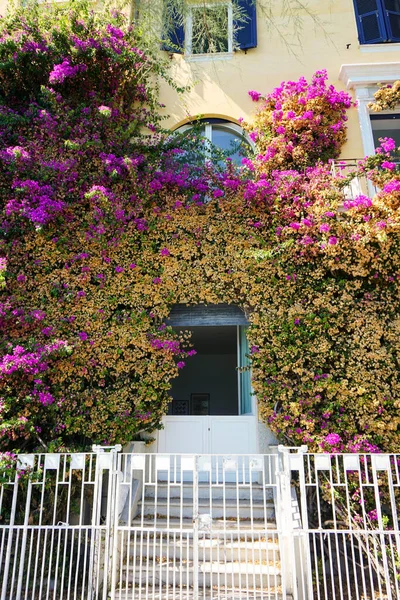 stock image Beautiful door in a beach town in Italy