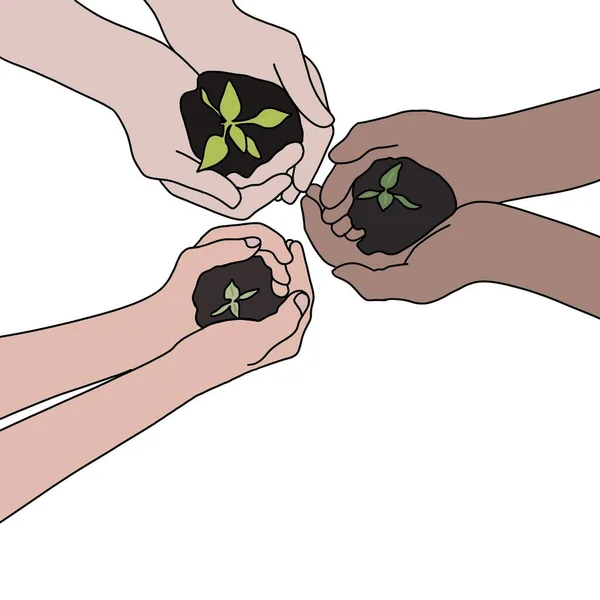Три Человека Разных Цветов Кожи Держат Руках Маленькое Растение — стоковое фото