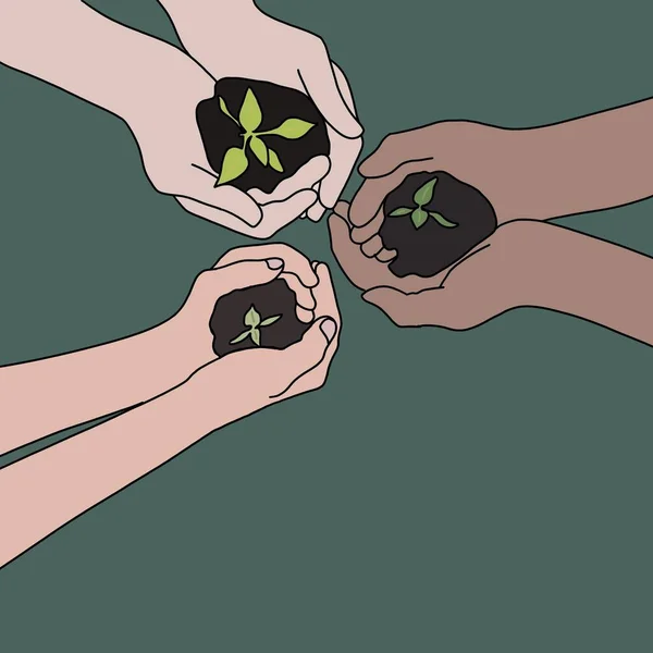Three persons of different skin colors holding a little plant in their hands