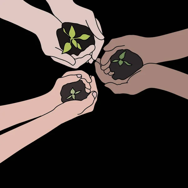 Three persons of different skin colors holding a little plant in their hands