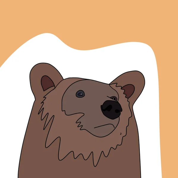 Roztomilý Medvěd Hnědý Oranžovým Pozadím — Stock fotografie