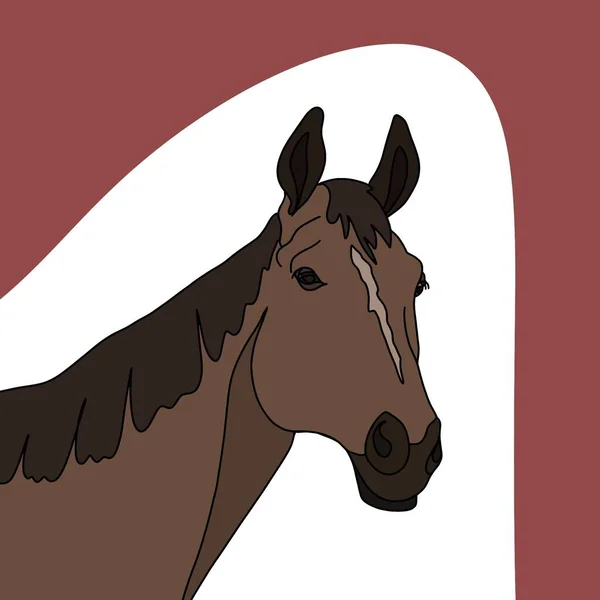 赤い背景の美しい茶色の馬 — ストック写真