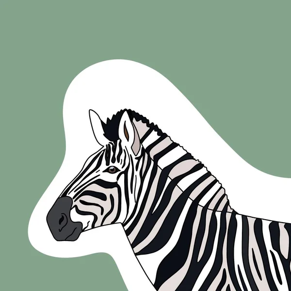Illustration of a cute zebra with a green surface